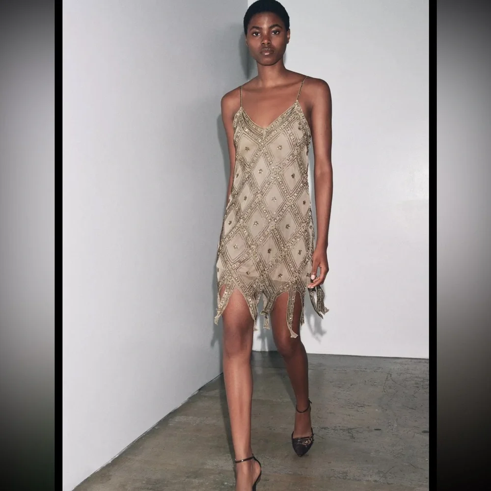 Zara limited edition EMBROIDERED TULLE Mini DRESS - Picture 9 of 15